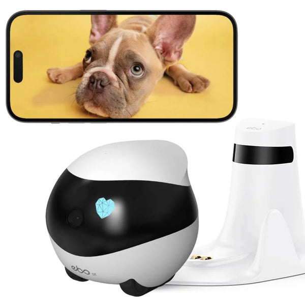 Long Distance Couple Remote Camera Robot