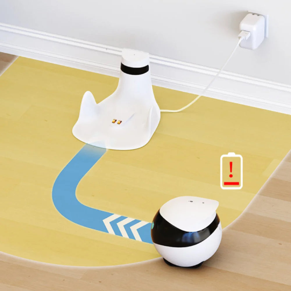 Long Distance Couple Remote Camera Robot