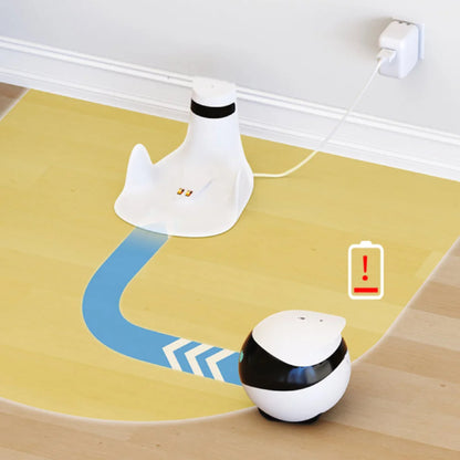 Long Distance Couple Remote Camera Robot