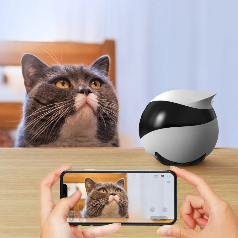 Long Distance Couple Remote Camera Robot