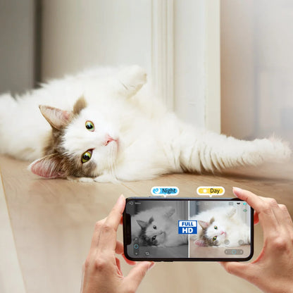 Long Distance Couple Remote Camera Robot