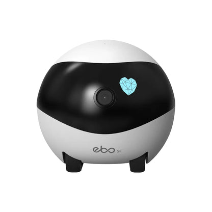 Long Distance Couple Remote Camera Robot